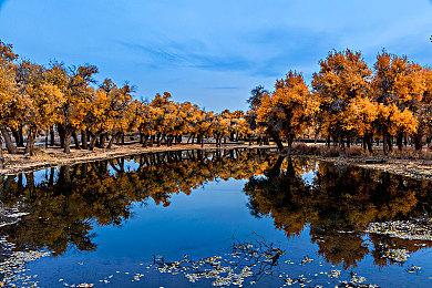 RPG《Robot's Fate: Alice》Steam页面公布 支持简中